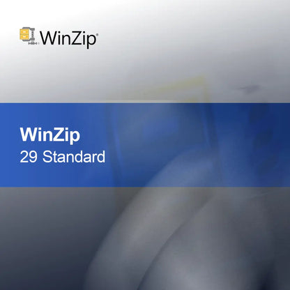 WinZip 29 Πρότυπο